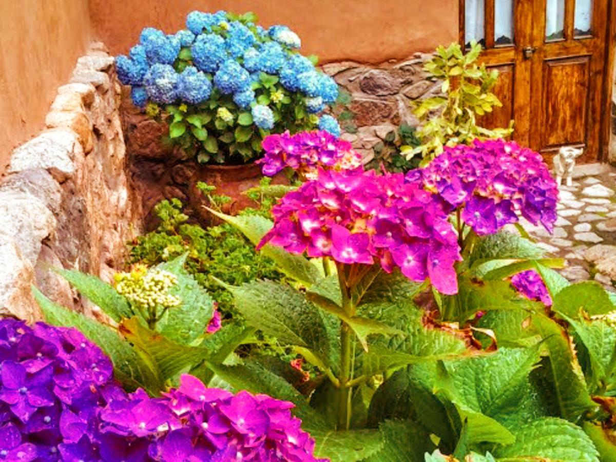 Lizzy Wasi Urubamba Hotell Exteriör bild
